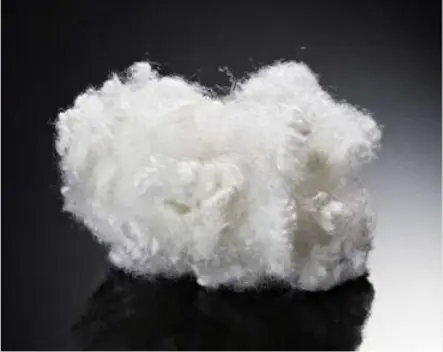 Hollow Fibers