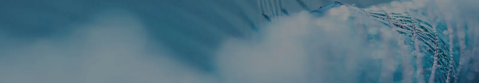 Hollow Fibers