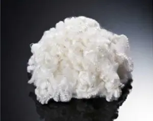 Hollow Fibers